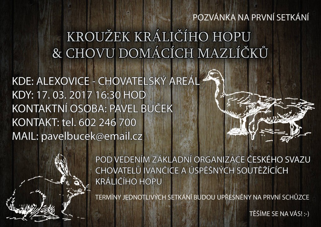 17358646_1232340293481173_5757950846095679935_o